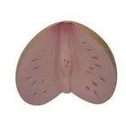 Custom organs design pu toys prostate shape stress ball with logo printing