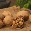 cheap price first class paper shell walnut