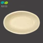 100% biodegradable compostable paper plate,Eco disposable sugarcane bagasse oval dinner plate