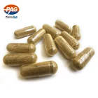 OEM Herbal Food Supplement GMP Health Care Cordyceps Sinensis Capsule