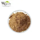 High quality non carbonated organic mirinda noni enzyme soft drinks powder 330ml for prevent cancer