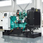 Diesel Generator Set Powered By Cummins Engine Open Type 50HZ 25KVA Diesel Generator Set
