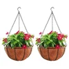 /product-detail/black-color-metal-hanging-basket-with-coco-coir-liner-62422831405.html