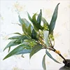 /product-detail/wholesale-silk-artificial-eucalyptus-leaves-for-wedding-bouquet-decoration-62246520399.html