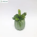 Eco-friendly Plastic Material artificial succulent plant