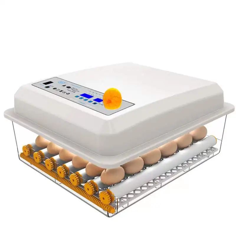 Small Egg Incubators For Hatching Eggs With Automatic Egg Turning