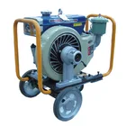 Robin Engine Machines Concrete Vibrator Durabler Diesel Vibrating Machinery With Robin Engine Concrete Vibrator