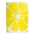 Notebook Factory 1/1c 2020 New Products With Holi Manufacture A5/A6 Good Quality Water-proof Soft PP Cover Fruit