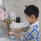 Antiseptic Hand Wash Hand Soap High Profit Magic Diy Antiseptic Msds Wash Liquid Hand Soap