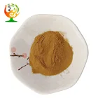 Leaf Powder Supply Ivy Leaf Extract Powder 10:1