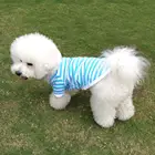Pet Dog Clothes For Small Dogs Summer Clothes Puppy Clothing Shirt Vest Pet Dog Puppy Vest T-shirt Dog Cloth