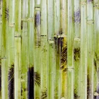 chinese bamboo painting natura bamboo wallpaper design bamboo wall decor panel
