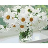 CHENISTORY DZ991714 DIY Painting By Numbers Wild daisy Special Gift Oil painting for Living Room Home Decor Coloring Numbers