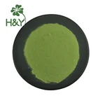 Food Food Grade High-quality Wheat Grass Juice Powder Wheatgrass Powder For Food And Beverage