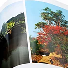 High Quality Custom flyer Booklet brochure catalog printing service