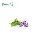 Farwell Borage Oil/Borage Seed Oil with competitive price