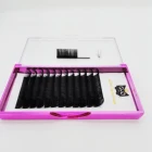 Mink Name Brand Eyelash Faux Mink Individual Lashes Flower Lash Book Name Brand Eyelash Extensions