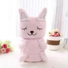 OEM new cute animal design custom printed baby blanket baby korean blanket price for sale