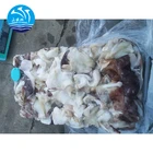Squid Giant Squid Necks Cut And Clean Size 500g Up