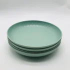 New 10" ECO Biodegradable Bamboo fiber Round Plate, bamboo dishes, Bamboo fiber dinnerware