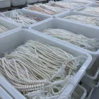 Loose Beads Whitewhite Beads And Pearls Freshwater Pearl Loose Beads 5.0-6.0mm Round 3a+ For Jewelry Making Loose Pearls
