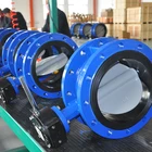 Manufacturer Butterfly Butterfly Manufacturer Double Flange Butterfly Valve Installation Manufacturer With Gear Operated