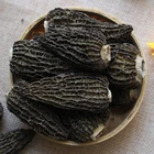 Nature Wild Dried Black Morel Mushroom