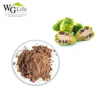 OEM Organic Raw Material Noni Juice Health Supplement Fruit Extract Juice Powder Morinda Citrifolia Noni Powder