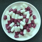 Manufacture Good Quality Gelatin Capsule Shell Filling Empty Capsules