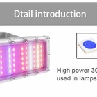 60W IP65 Hydroponic Light Led Grow Light