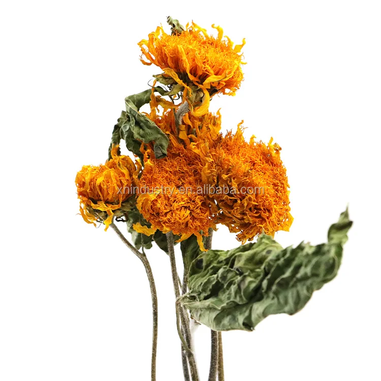 high quality real touch sunflower flowers dried sunflower for