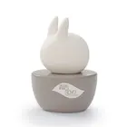 Ceramic Scented Fragrance Pets Air Freshener Aroma Perfume Essential oil Diffuser