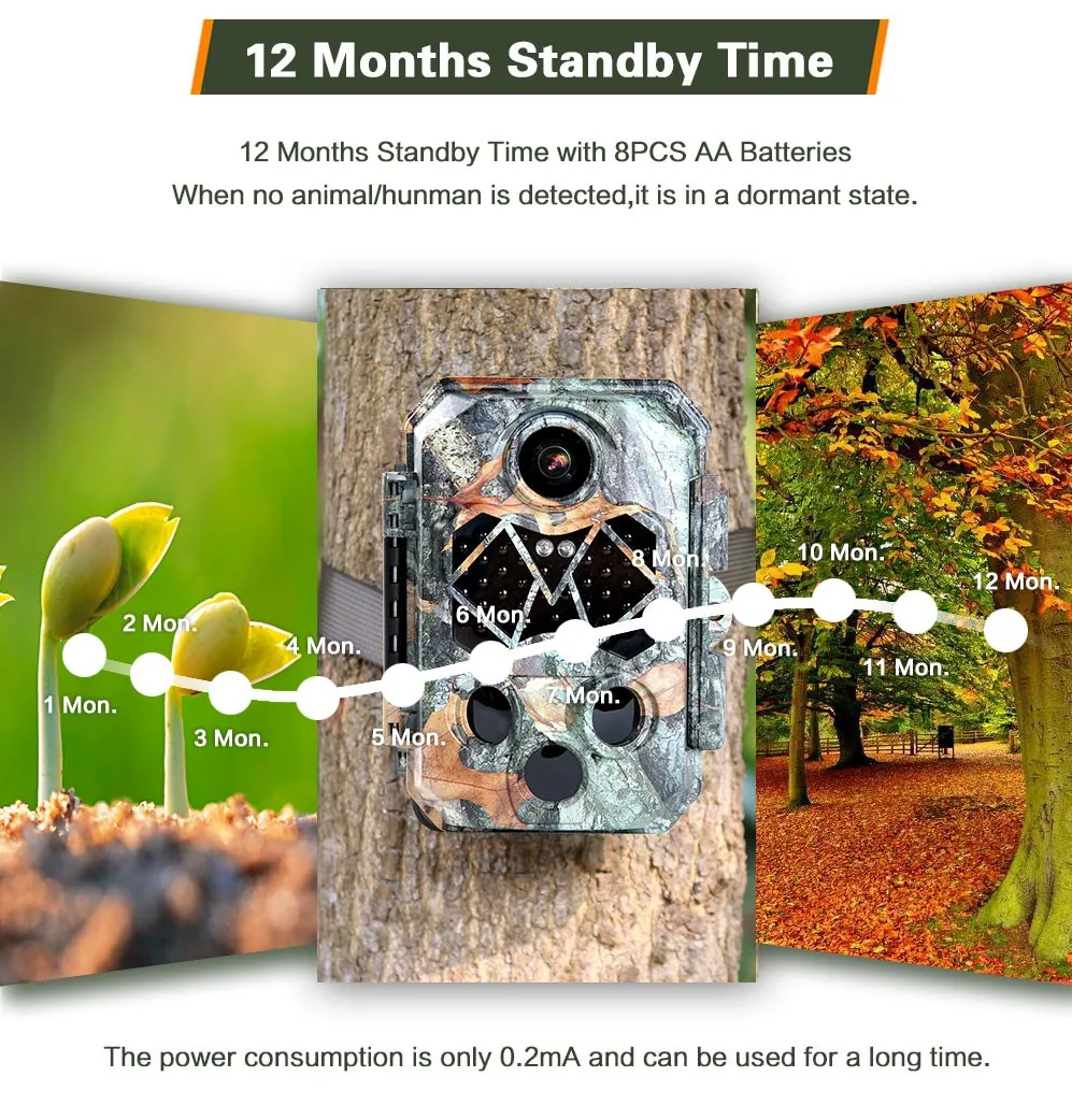 770 Trail camera 110.jpg
