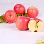 Apples Fruit Apple Bulk Fresh Fuji Apples Fruit Wholesale Size 130/140/150 G