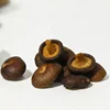 TTN Vacuum Fried Dried Shiitake Mushroom Snacks in Whole Half and Quarter