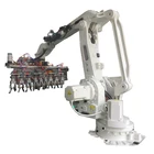 Fully automatic ABB robot packing machine cans carton for sugar cane juice can