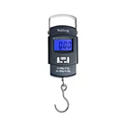 Digital scale scales weight tools travel bag fish hook weighing electronic luggage scale
