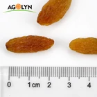 AGOLYN Jumbo Size Seedless Red Sultana Raisin