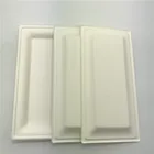 Tray Compost Tray Sugarcane Bagasse Rectangular Tray Biodegradable Compostable Paper Plastic Alternative