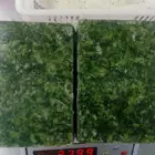Hot Sales iqf frozen spinach ball with good price