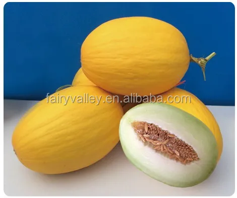 buttercup yellow melon