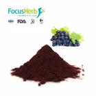 Spot 2%-5% Red Grape Skin Extract Resveratrol