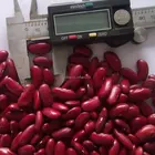 High Quality British Dark Red Kidney Bean