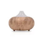 Best Gift hotel lobby 300ml Air Humidifier Portable ionizing USB Wooden Aroma Diffuser