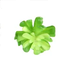 cheap wholesale lovely mini cactus outdoor assortment indoor decorative artificial succulent plants potted set for sale
