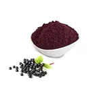 Top quality organic 25% anthocyanins black elderberry extract powder