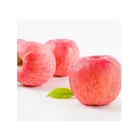 Chinese mature top grade fuji apple fresh fuji golden apple red Qinguan apple