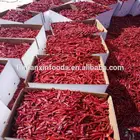 chinese Dried Red whole Chili