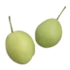 China Fresh Pears Pearfresh 2020 New China Fresh Pears Fruit