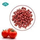 Lycopene Softgel Lycopene Antioxidant Capsules for Skin Care